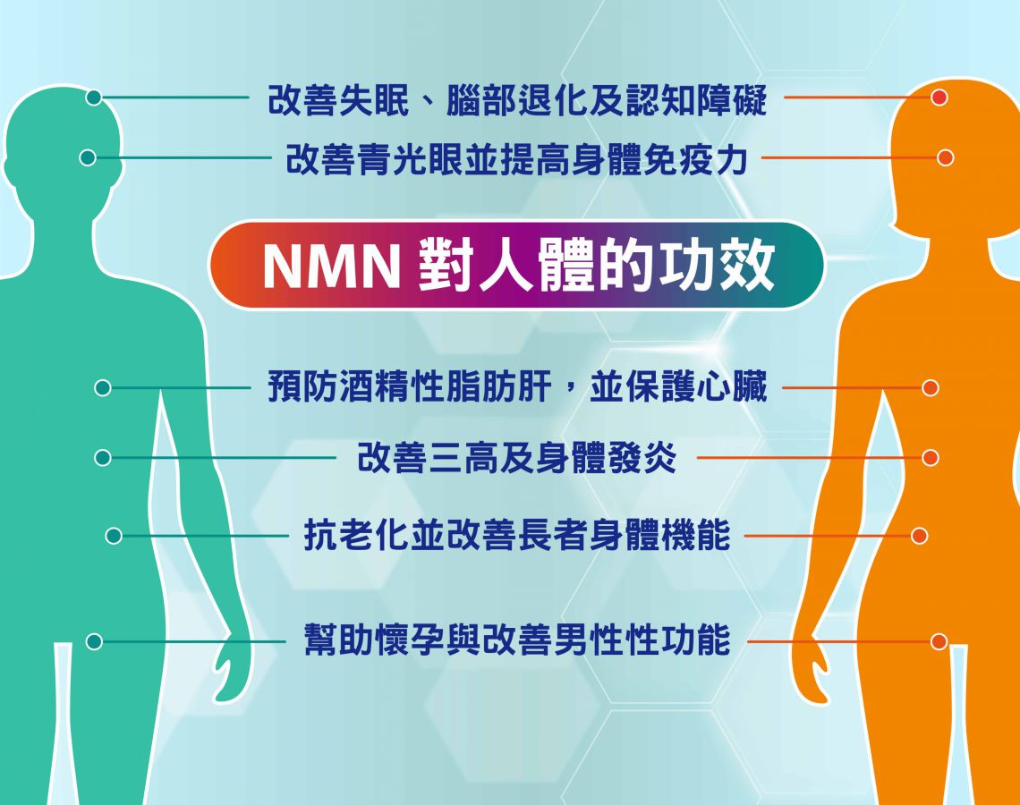 NMN對人體的功效